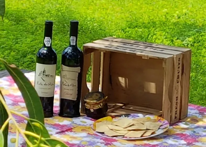 Glamping Frog Farm