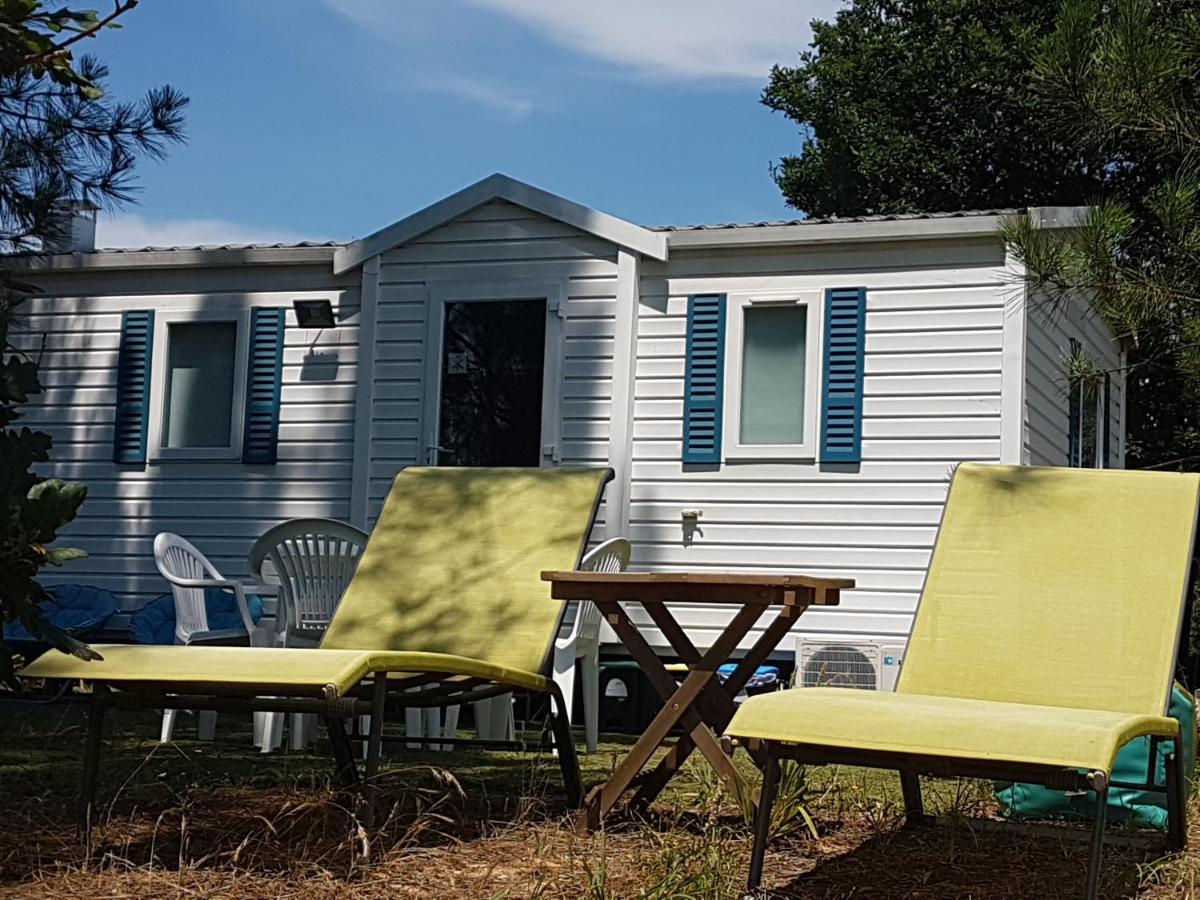 Glamping Frog Farm Holiday home