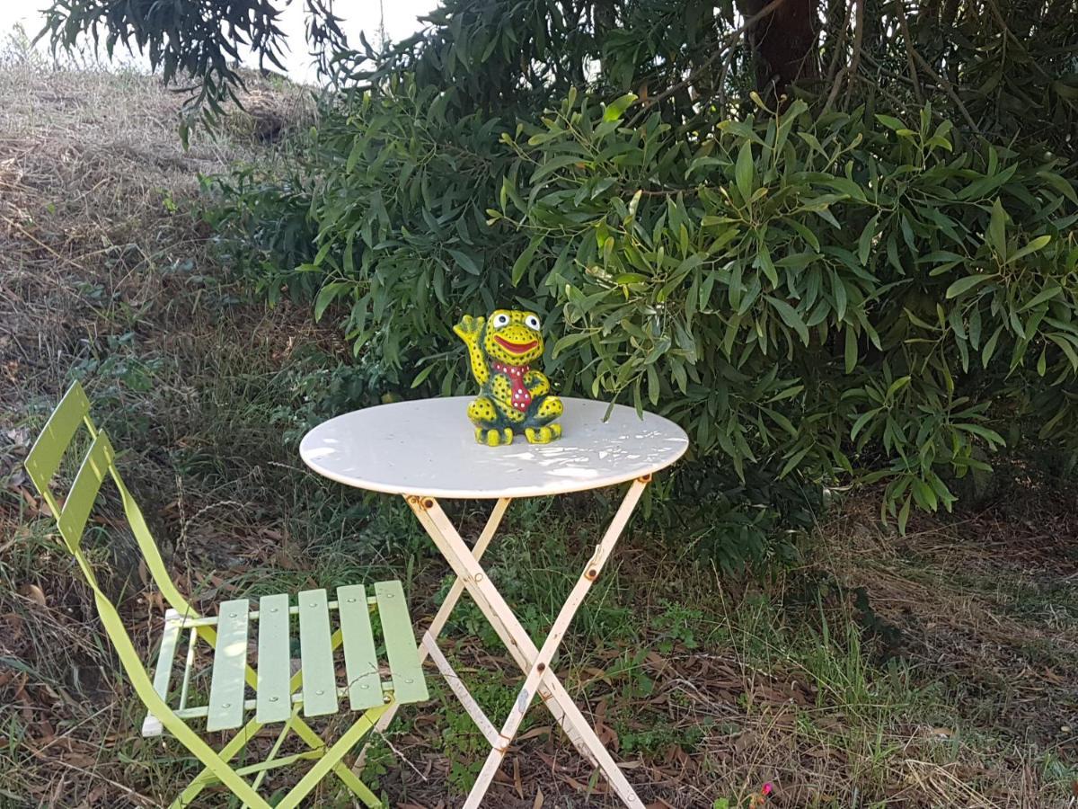 Glamping Frog Farm