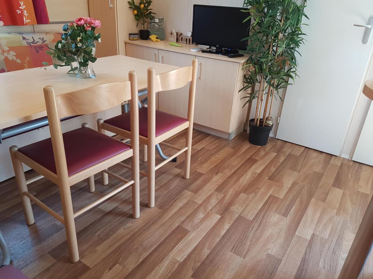 Glamping Frog Farm Holiday home Foz do Sousa