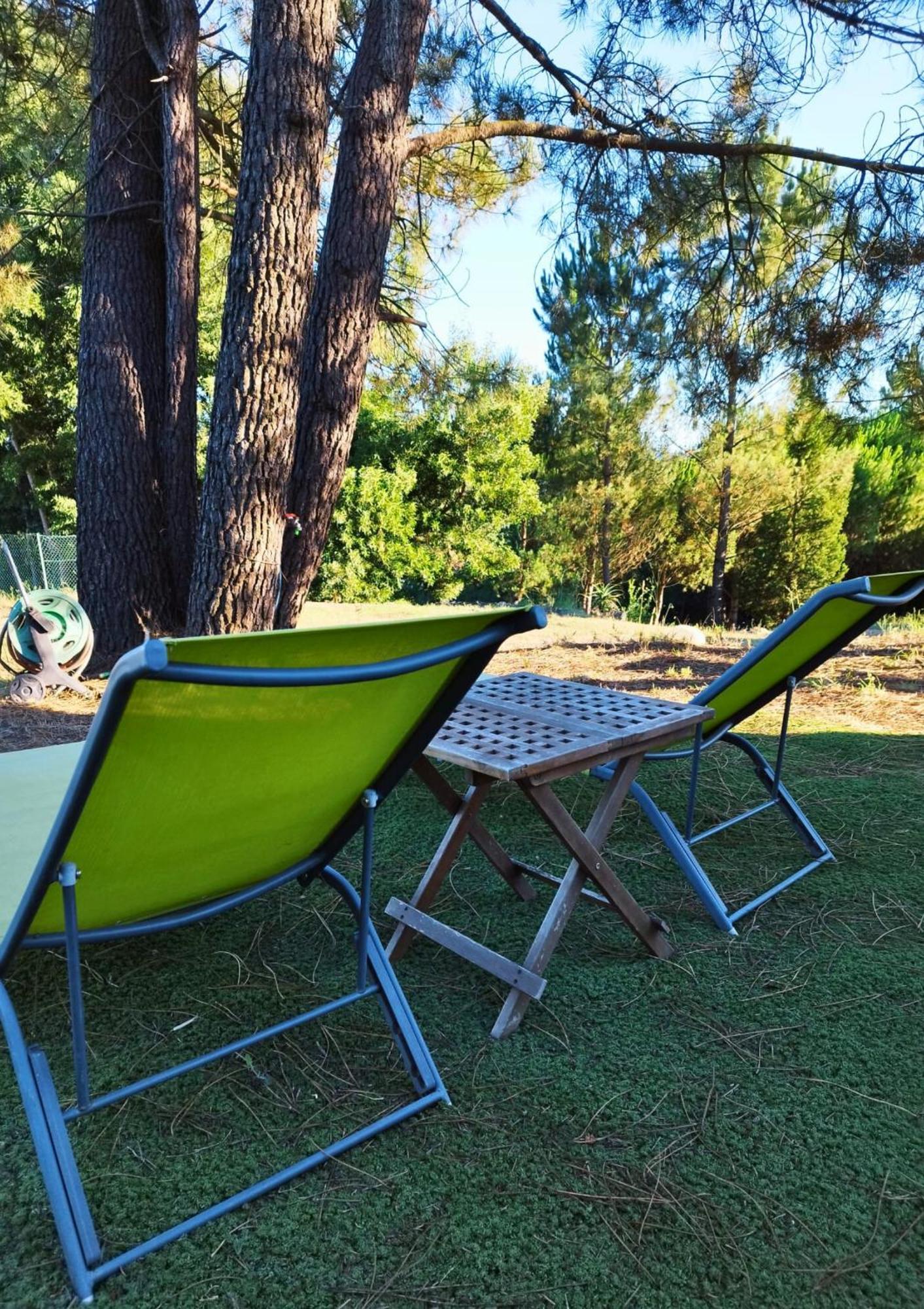 Glamping Frog Farm Holiday home