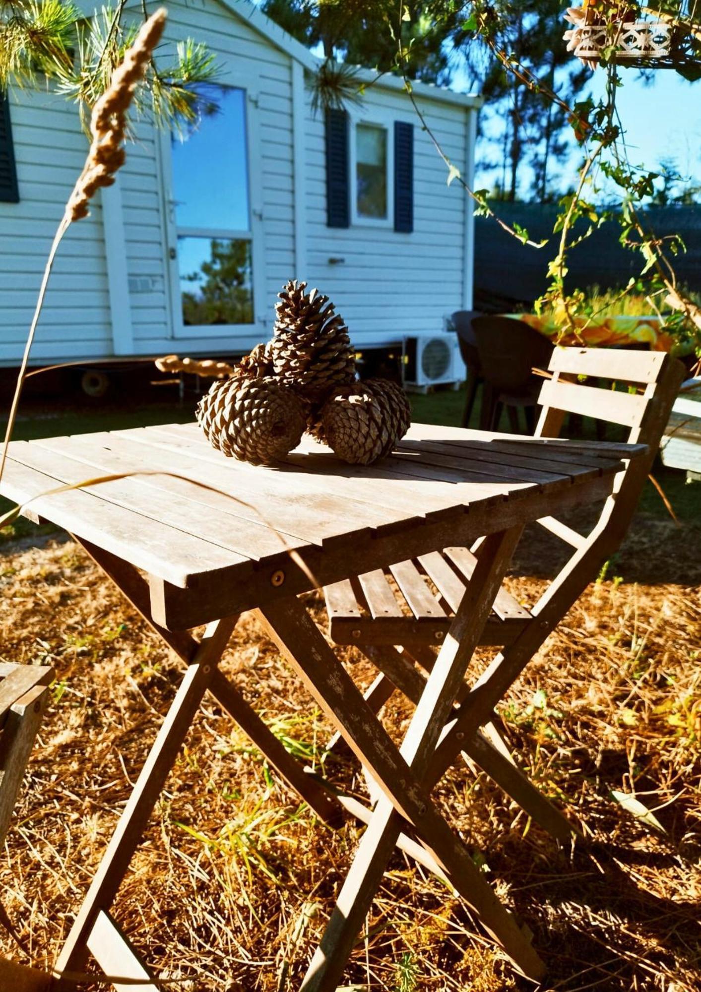 Holiday home Glamping Frog Farm