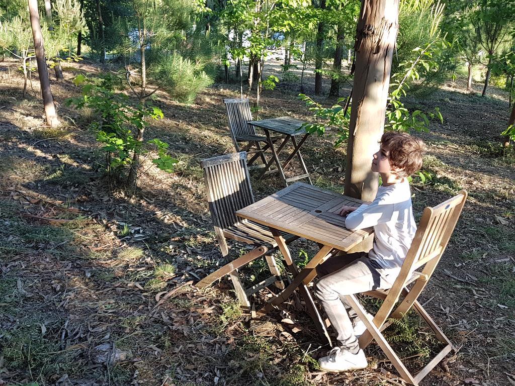 Glamping Frog Farm Holiday home